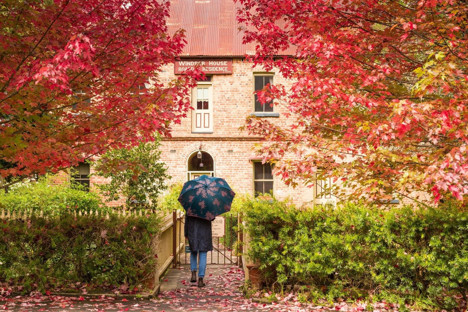 The Best Places to See Autumn Leaves in Australia